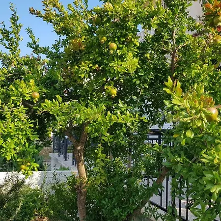 Holiday home The Address - Beach House