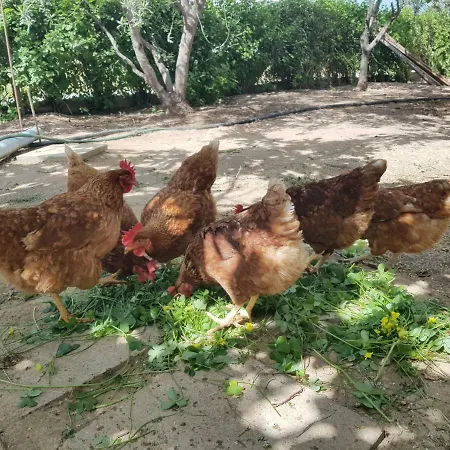 The Address - Beach House Semesterbostad *